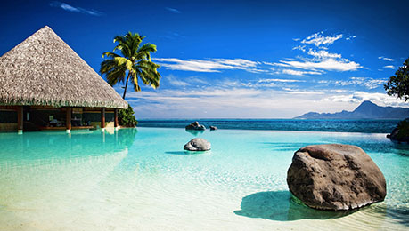 1450168928306063178.jpg 03.jpg